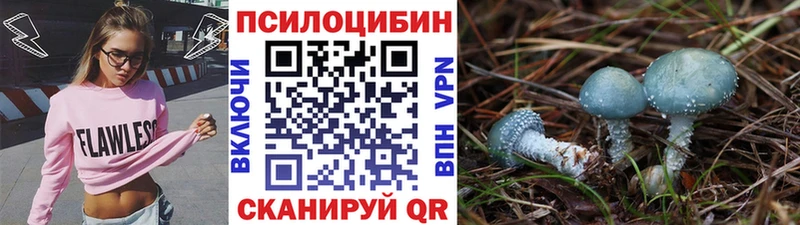 Псилоцибиновые грибы мухоморы  где продают   мега рабочий сайт  Дигора 